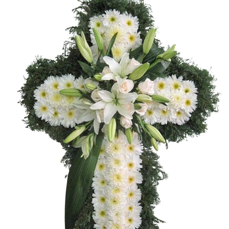 Blanco consuelo